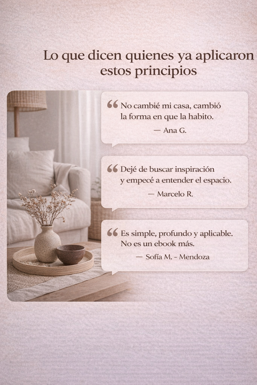 6 Principios + 20 Conceptos