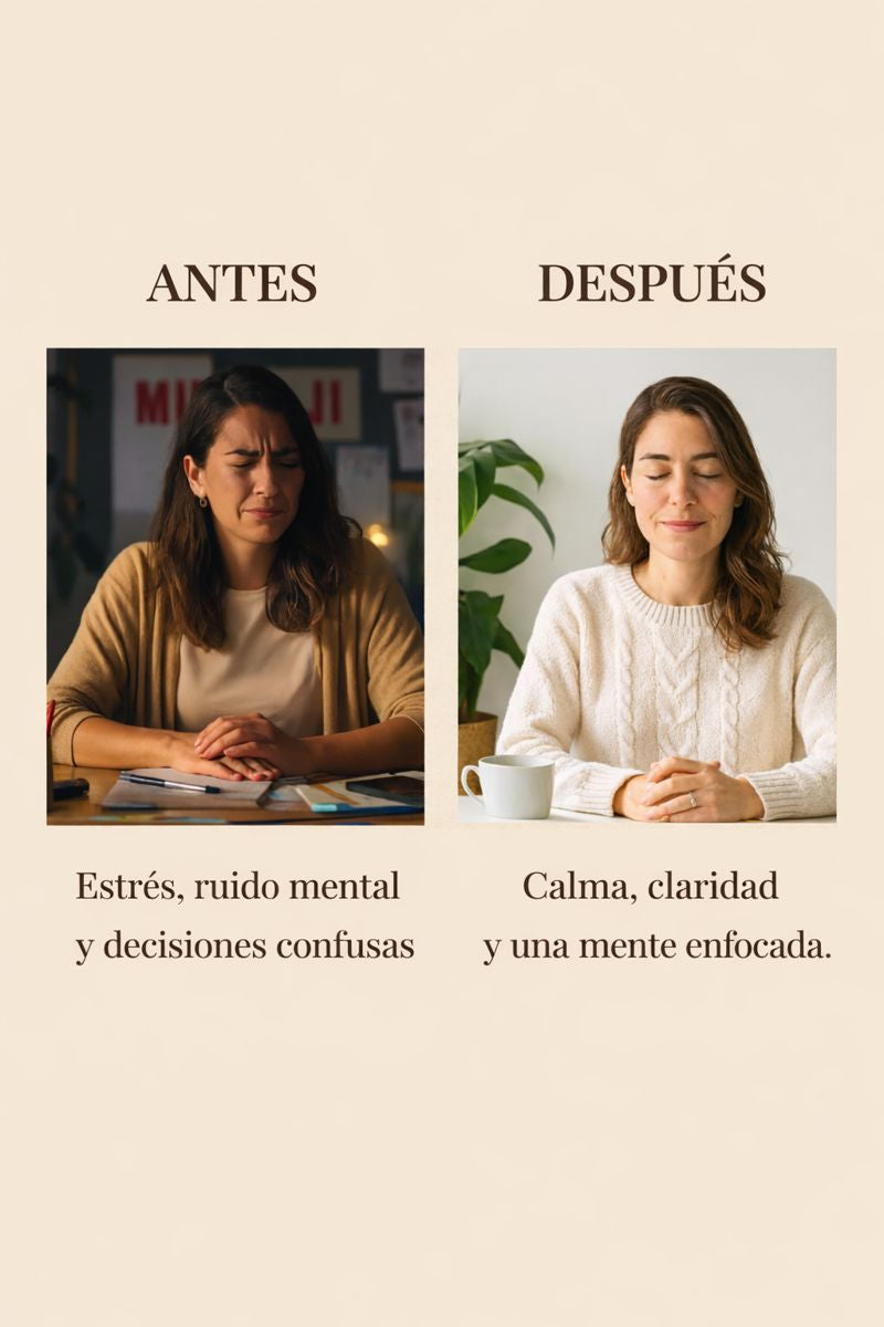 6 Principios + 20 Conceptos