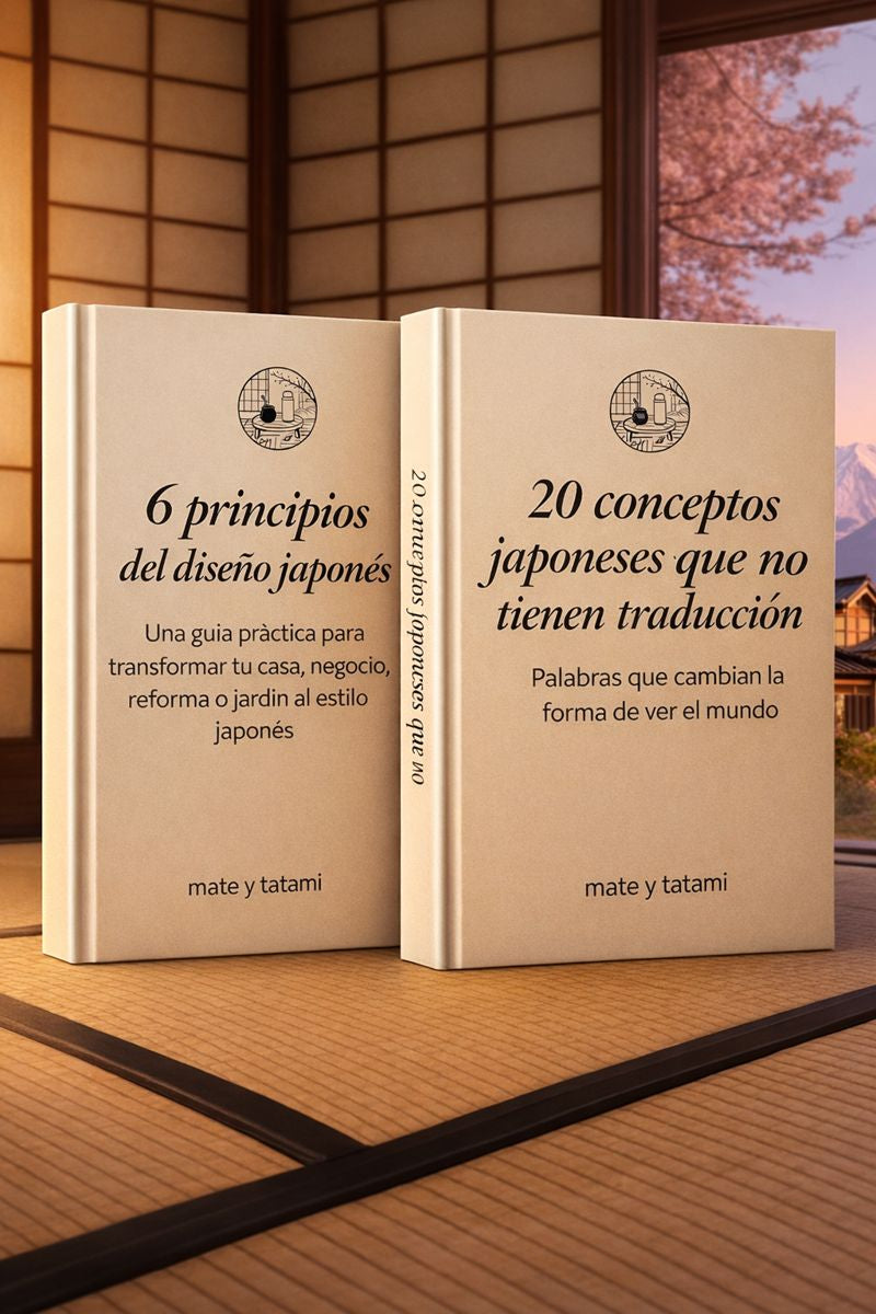 6 Principios + 20 Conceptos