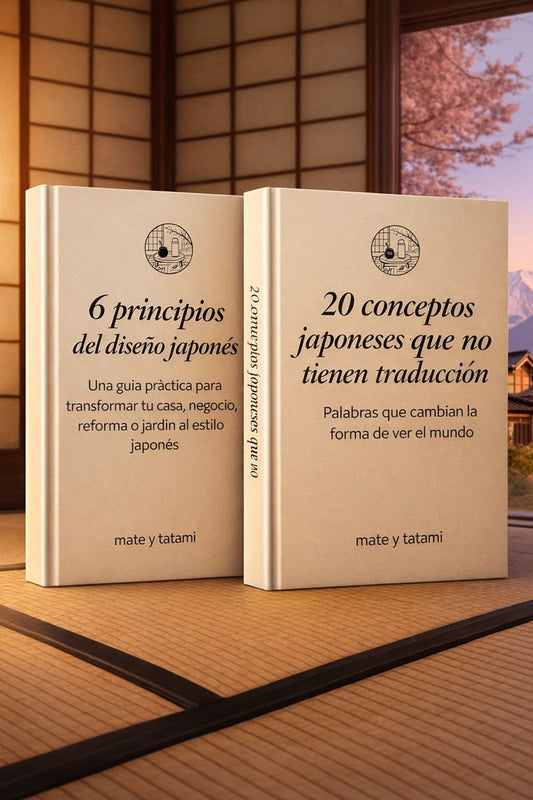 6 Principios + 20 Conceptos